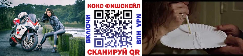 Купить где  Орлов  Cocaine 97% 