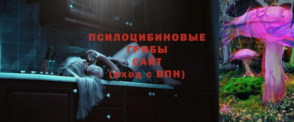 прущие крисы Зеленокумск