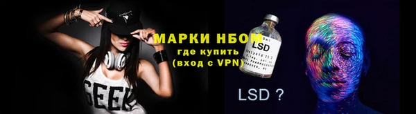 прущие крисы Зеленокумск