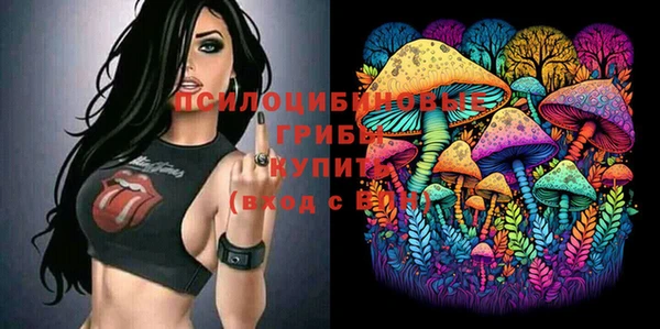 прущие крисы Зеленокумск