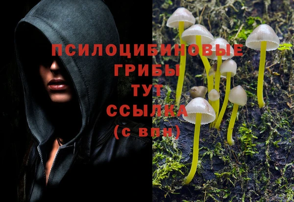 COCAINE Зерноград