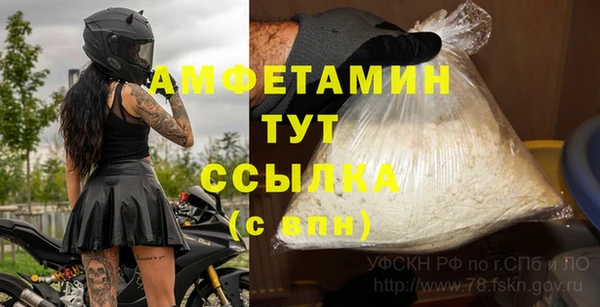 ПСИЛОЦИБИНОВЫЕ ГРИБЫ Зеленодольск
