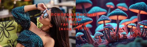 прущие крисы Зеленокумск